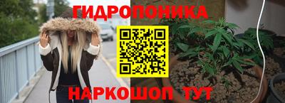 не бодяженный Гатчина