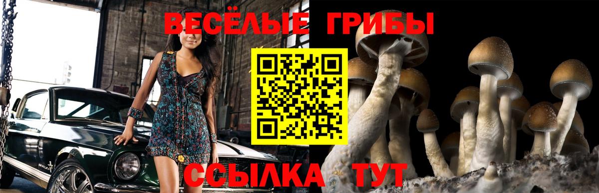 Галлюциногенные грибы Cubensis  Псилоцибиновые грибы Cubensis  Вход с VPN  Зеленокумск 